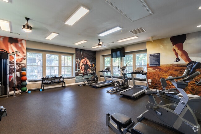 Gimnasio