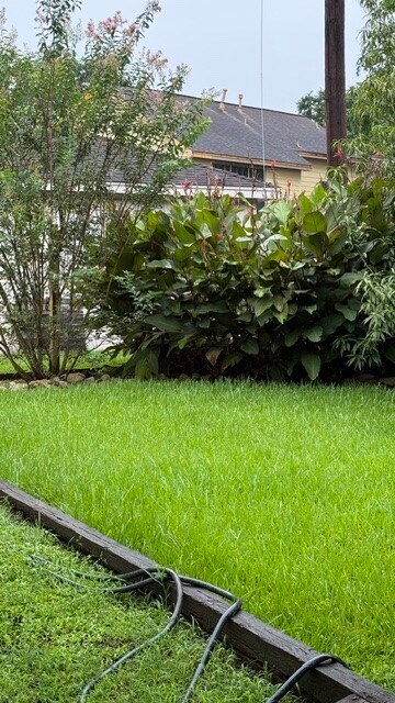 Photo - 907 Goldfinch Ave