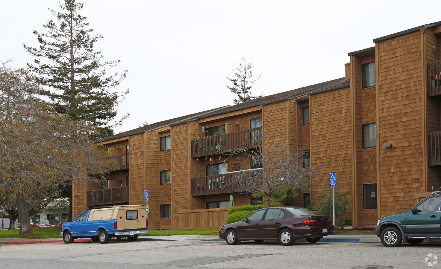 Photo - Elizabeth Oaks