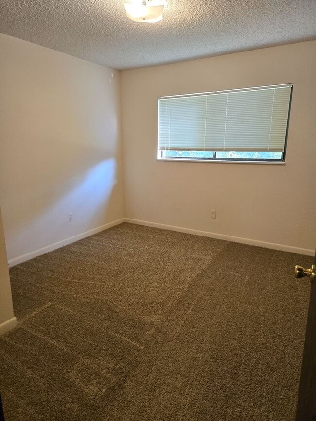 Photo - Charming 2 Bedroom, 1 Bath Apartment – Min... Unit 267F