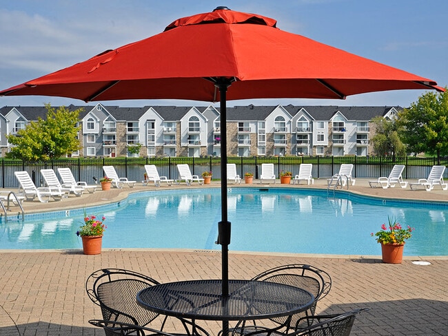 Piscina y terraza
