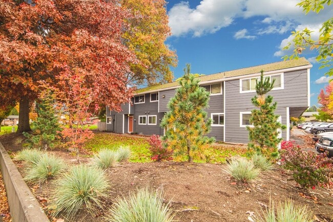 Maple View Apartments - Maple View Apartments