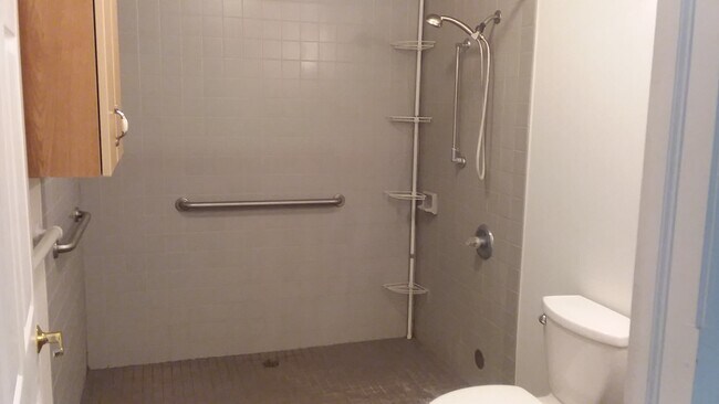bath - 375 W Pine St Unit A