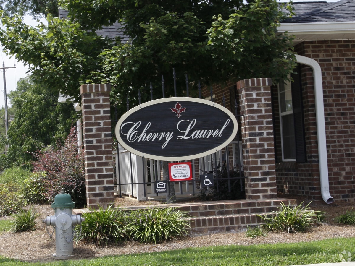 Photo - Cherry Laurel