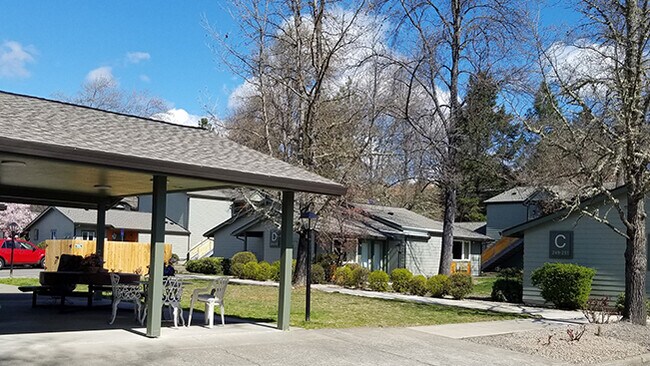 Z_Woodville Village