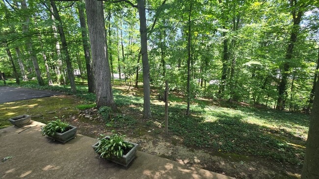 Photo - 4 Bed/2.5 Bath Brick Home - Kingsport TN