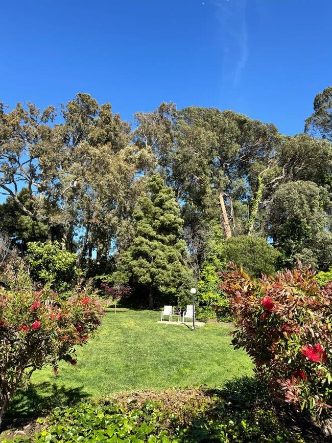 Photo - 1126 Cherry Ave