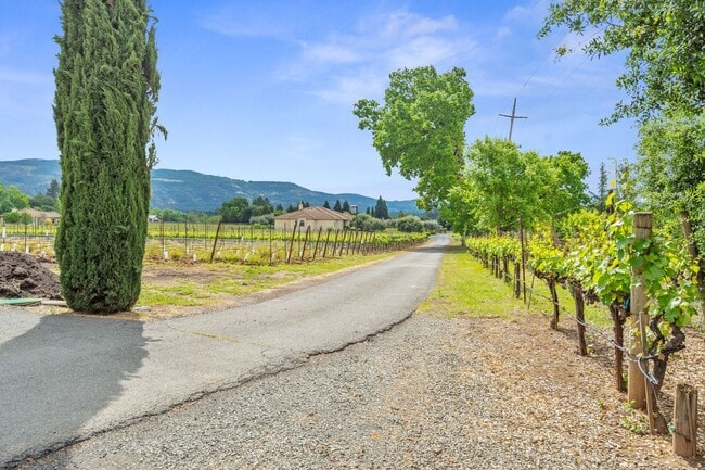 Photo - 2 Bedroom, 2 Bath Home with Vineyard Views on a Gated 11-Acre Property
