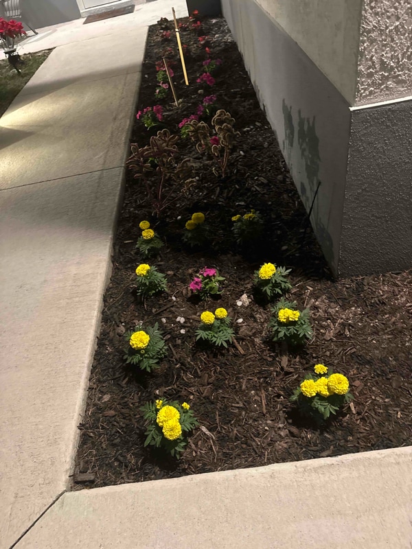 Photo - 304 Preston St