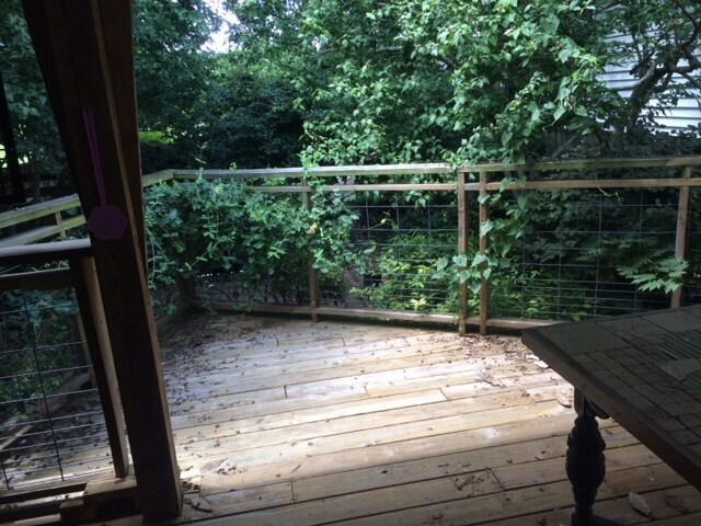 back deck - 120 Claremont Ave (Louisville, KY)