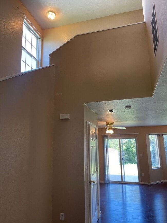 Photo - Available February 7th