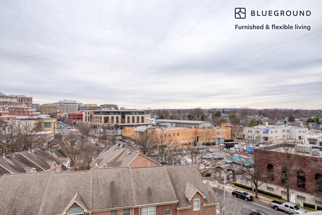 Photo - 2500 Clarendon Blvd Unidad FL7-ID393