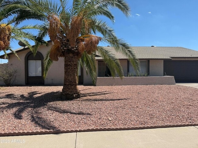 Building Photo - 4731 W Paradise Ln