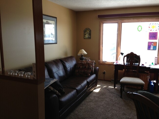 Sala de estar - 2206 Springvale Ct