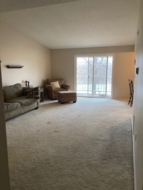 Living Room - 806 Huckleberry Heights Dr Unit 806