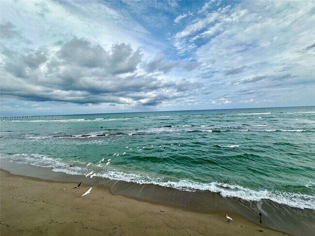 Building Photo - 5420 N Ocean Dr Unit 706