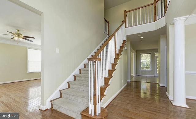 Photo - 4222 Talon Dr