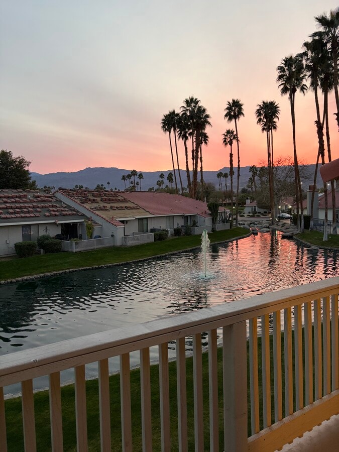 Palm Lake Sunset - 43376 Cook St Unit 88