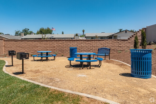 Community Park