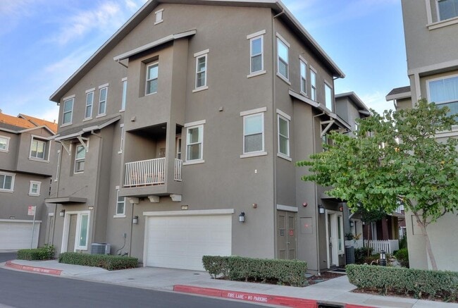 Apartments For Rent In San Jose Ca Forrent Com