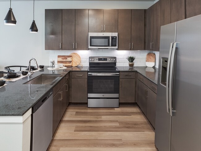 Photo - The Starling