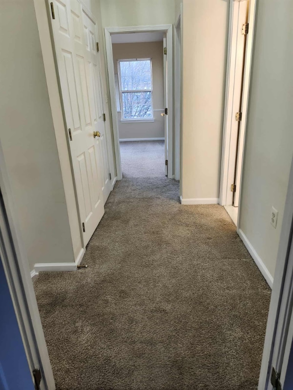 Photo - 46751 Vermont Maple Terrace