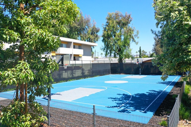 Basketball Court
