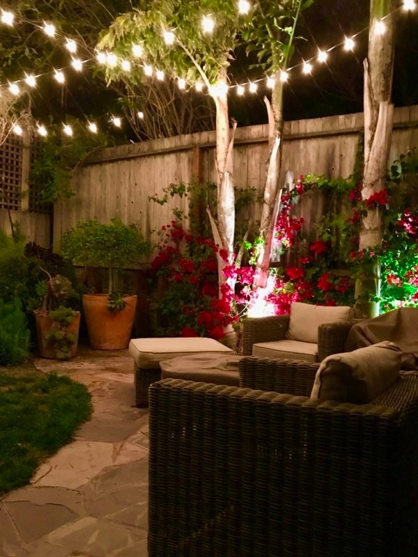 Building Photo - 1866 Golden Gate Ave Unit 1866 Golden Gate