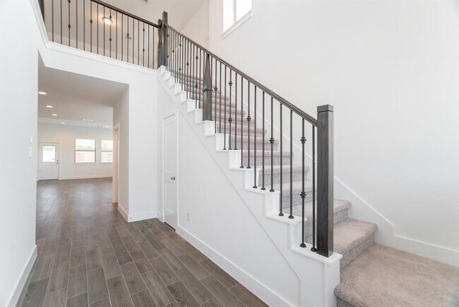 Photo - 17723 Tree of Heaven