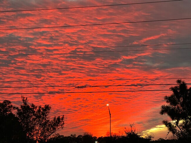 Photo - 818 N Central Ave