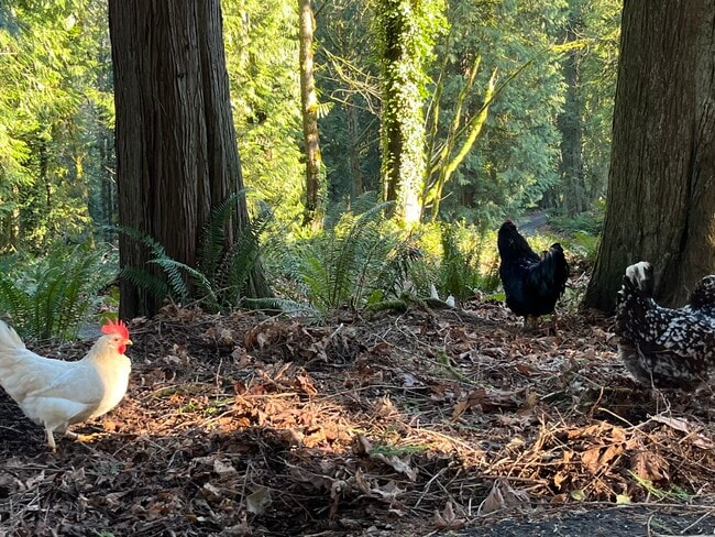 Building Photo - 1220 Carroll Rd Unit Apartment.