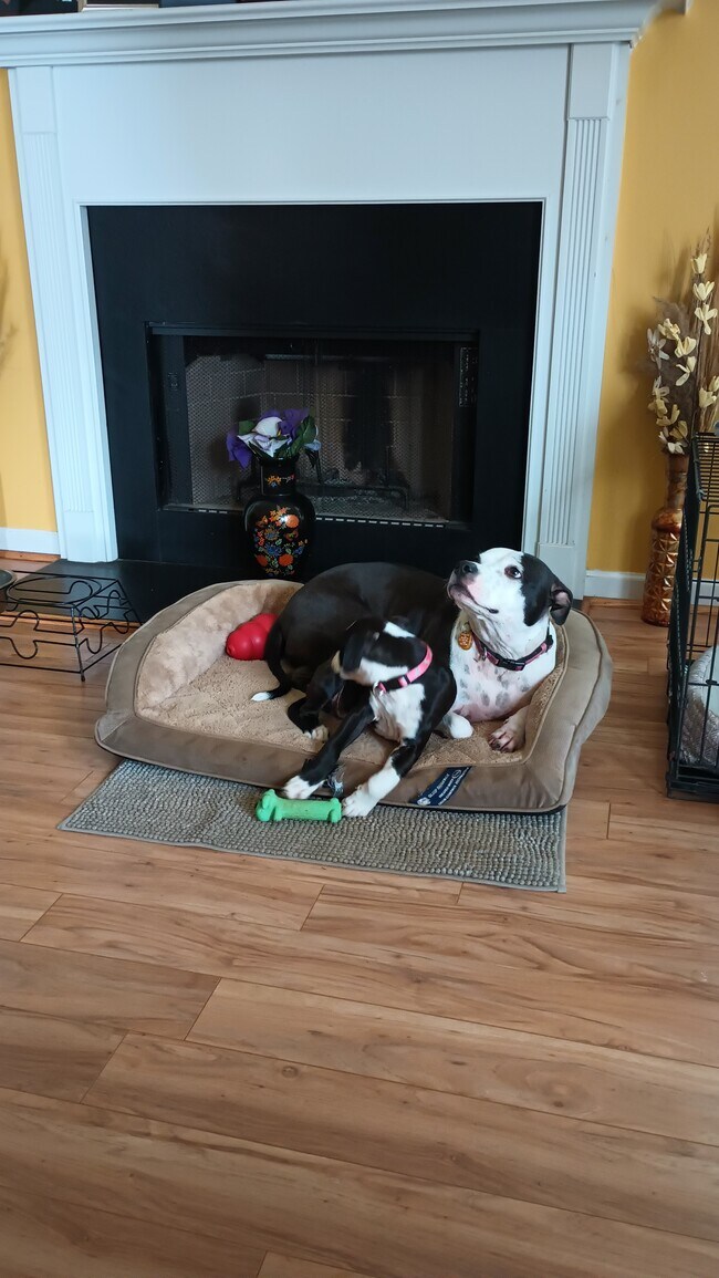 Photo - 7166 Thunder Ridge