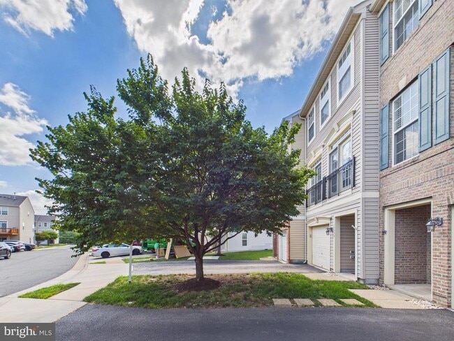 Photo - 15653 John Diskin Cir