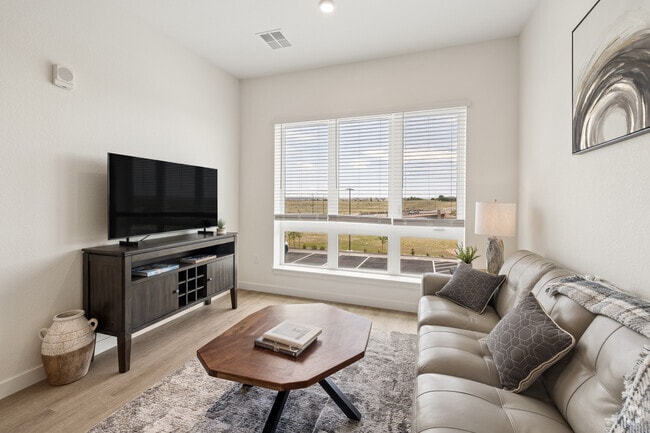 1BR, 1BA - 663SF - Living Room