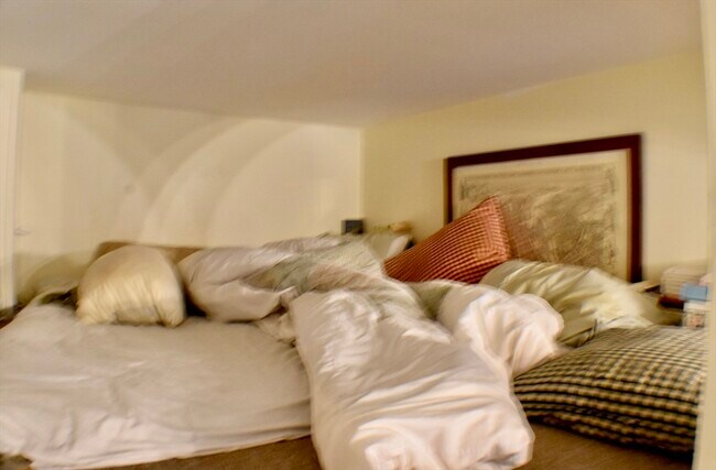 Photo - 53 E Springfield St Unit 2