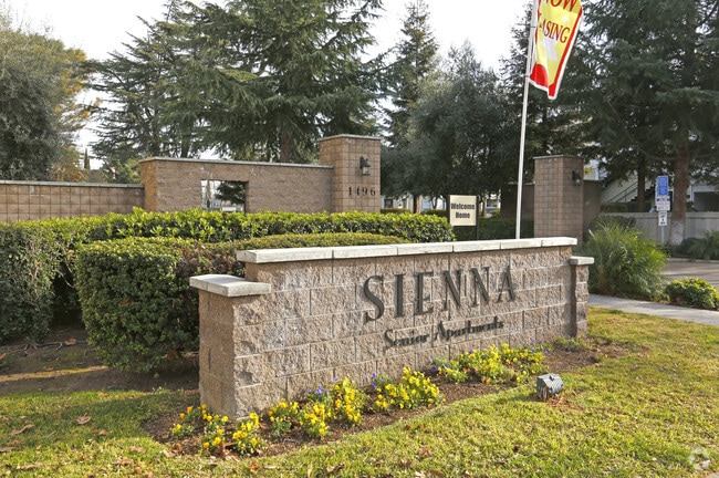 Photo - Italian Gardens