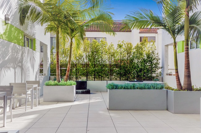 Zen Courtyard