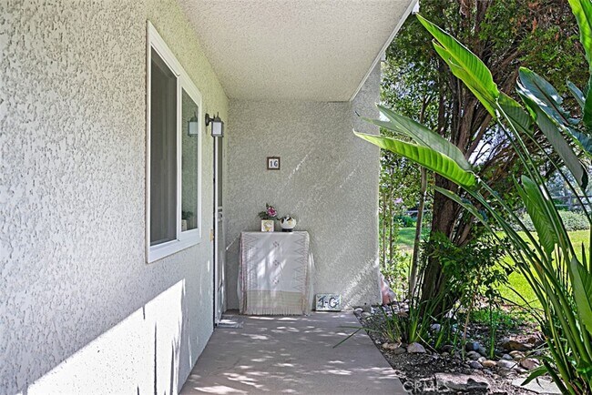 Photo - 5369 Algarrobo-