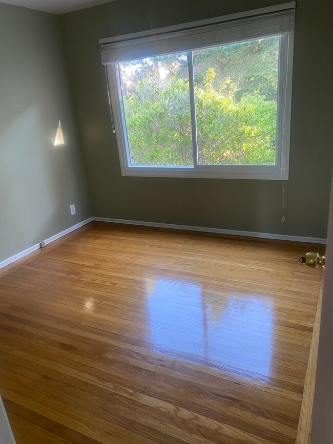 Photo - 204 Palisades Dr