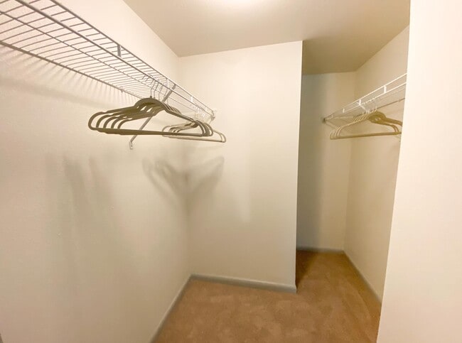 Photo - Cardinal Oaks