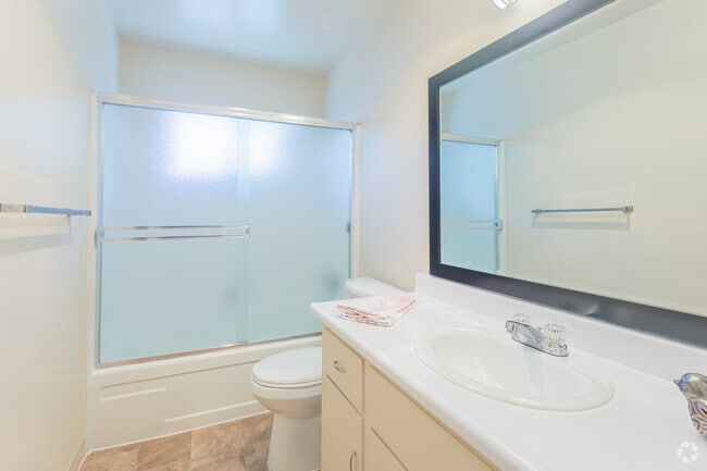 Photo - Cherry Blossom