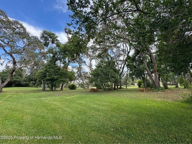 Photo - 12814 Ironwood Cir