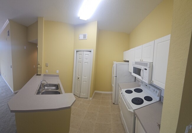 Photo - 4209 Woodstorks Walk Way Unit 4209 Woodstorks Walk Way, Lutz, FL 33558