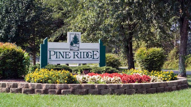 Pine Ridge - Pine Ridge Apartments