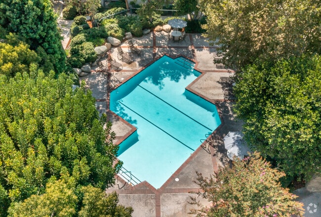 Main Pool