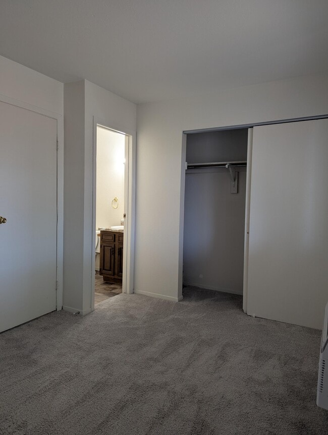 Photo - Violet Trace