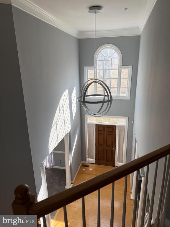 Photo - 4004 Ethan Thomas Dr