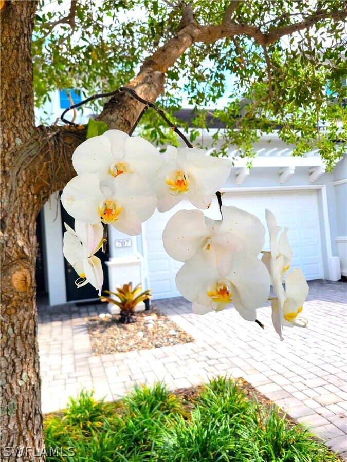 Photo - 6954 Avalon Cir Unit 703