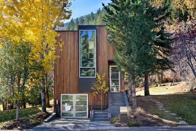 Photo - 315 W Hyman Ave