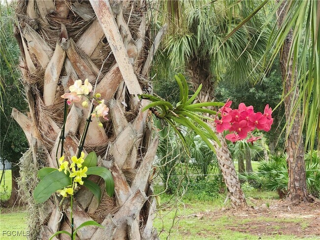 Building Photo - 311 14th St SE